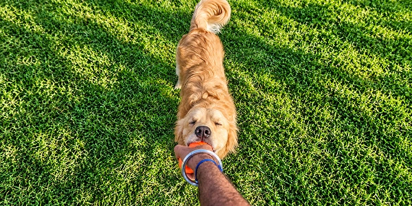 Stay & Play