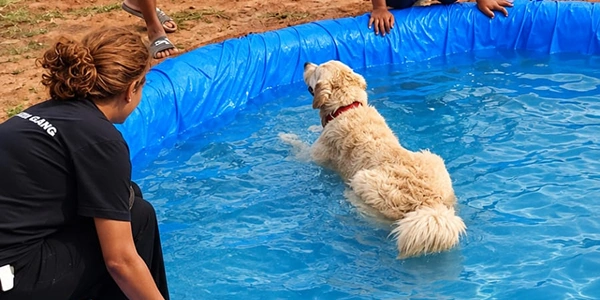 Splash & Swim